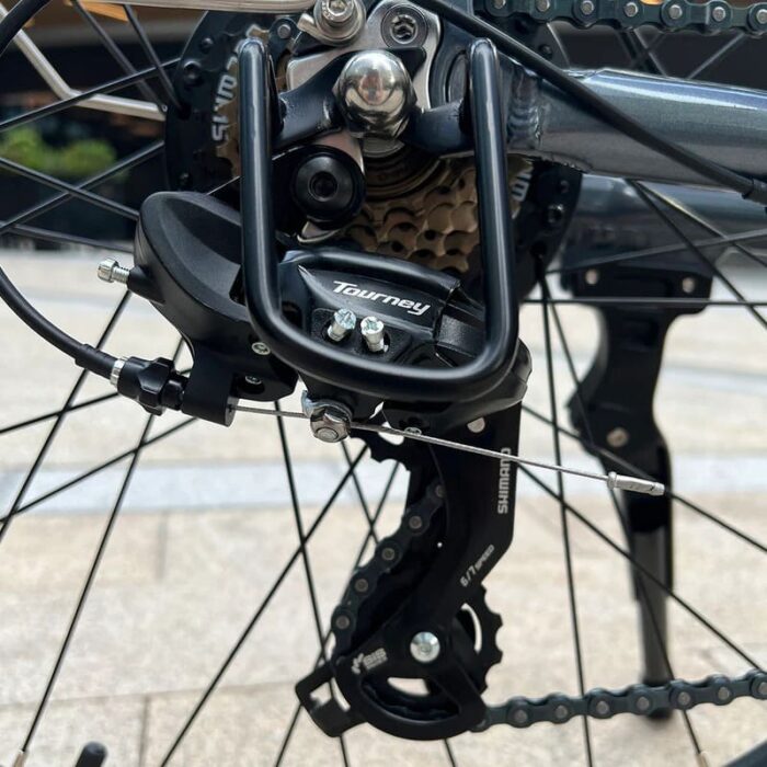 VTC-electrique-Molicycle-R1-250W-26-10.jpeg