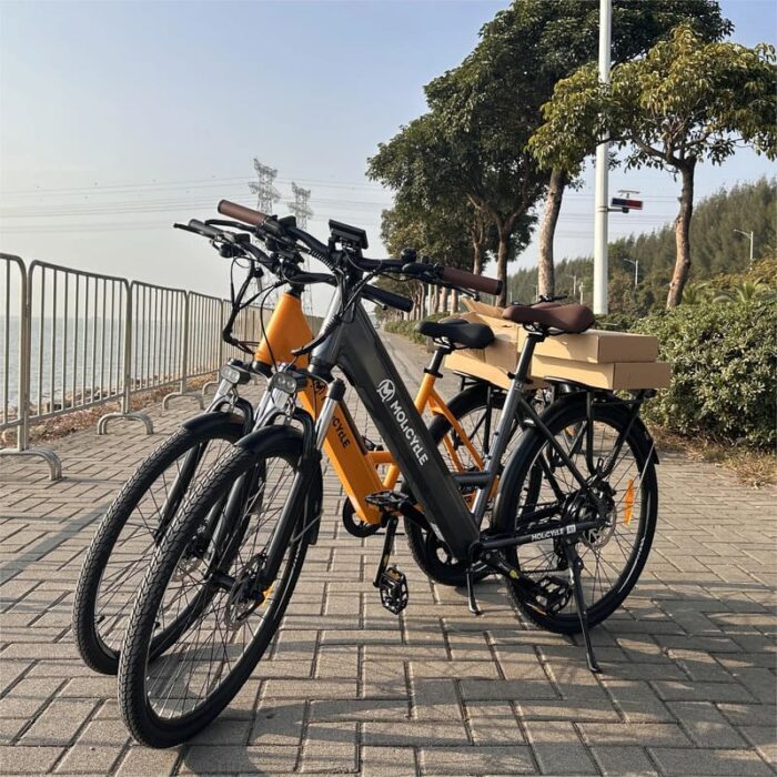 VTC-electrique-Molicycle-R1-250W-26-11.jpeg