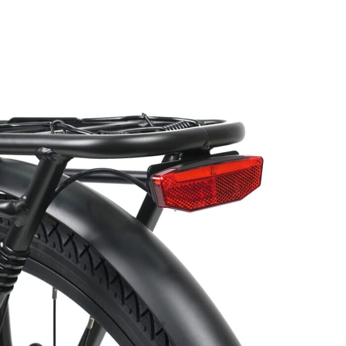 VTC-electrique-Molicycle-R1-250W-26-6.jpeg