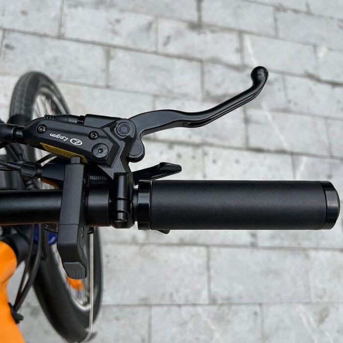 VTC-electrique-Molicycle-R1-250W-26-8.jpeg