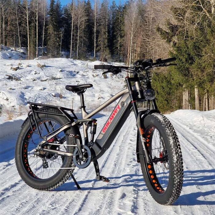 VTT-electrique-Dukawey-Silvertip8-1000W-26-1.jpeg