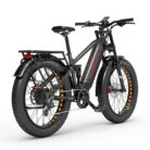 VTT-electrique-Dukawey-Silvertip8-1000W-26-6.jpeg