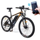 VTT-electrique-Fafrees-Hailong-One-250W-26-2.jpg