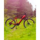 VTT-electrique-R-RAYMON-HardRay-E-4.0-2022-3.jpg