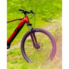 VTT-electrique-R-RAYMON-HardRay-E-4.0-2022-4.jpg