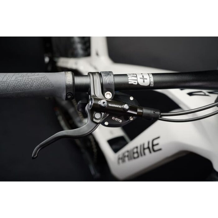 VTTAE-Haibike-ALLMTN-CF-9-2022-2.jpg