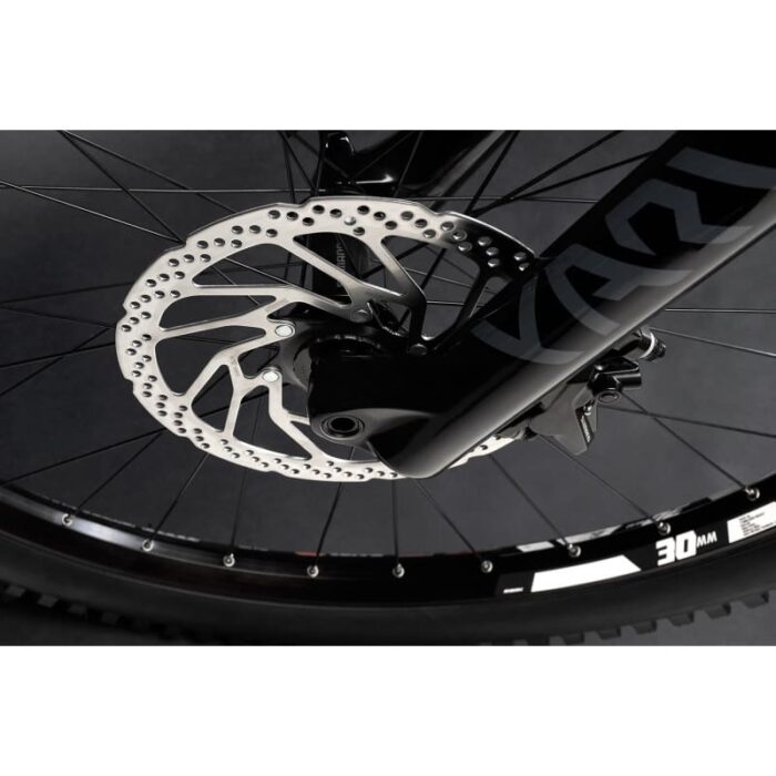 VTTAE-Haibike-ALLMTN-CF-9-2022-3.jpg