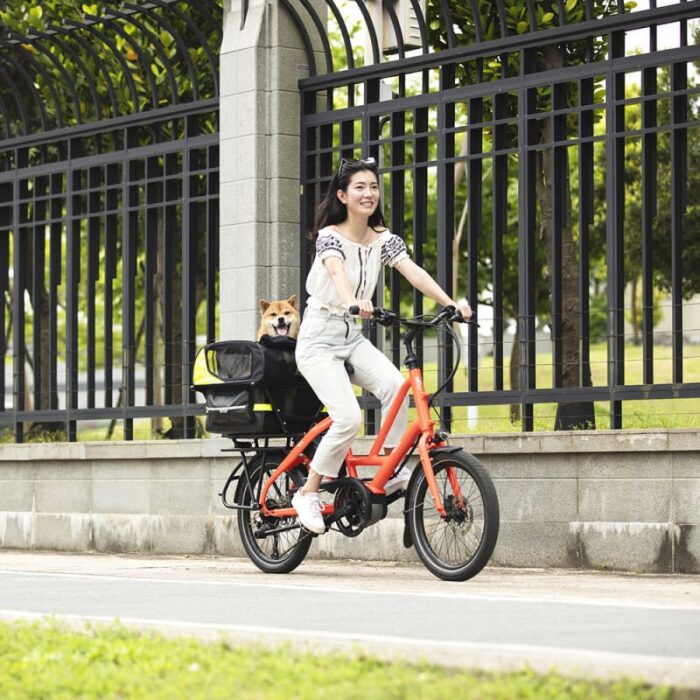 Velo-Longtail-electrique-Tern-Quick-Haul-D8-7.jpg
