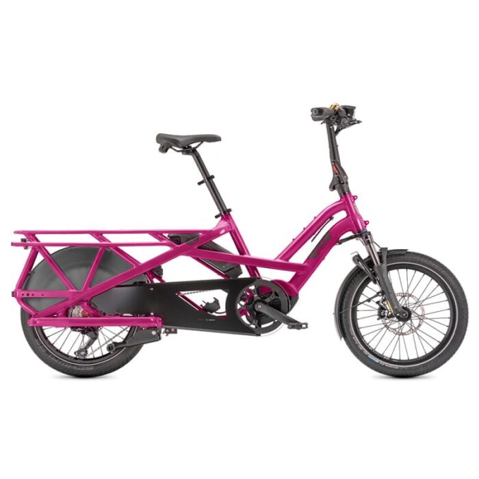 Velo-cargo-electrique-Tern-GSD-S10-LR-4.jpg