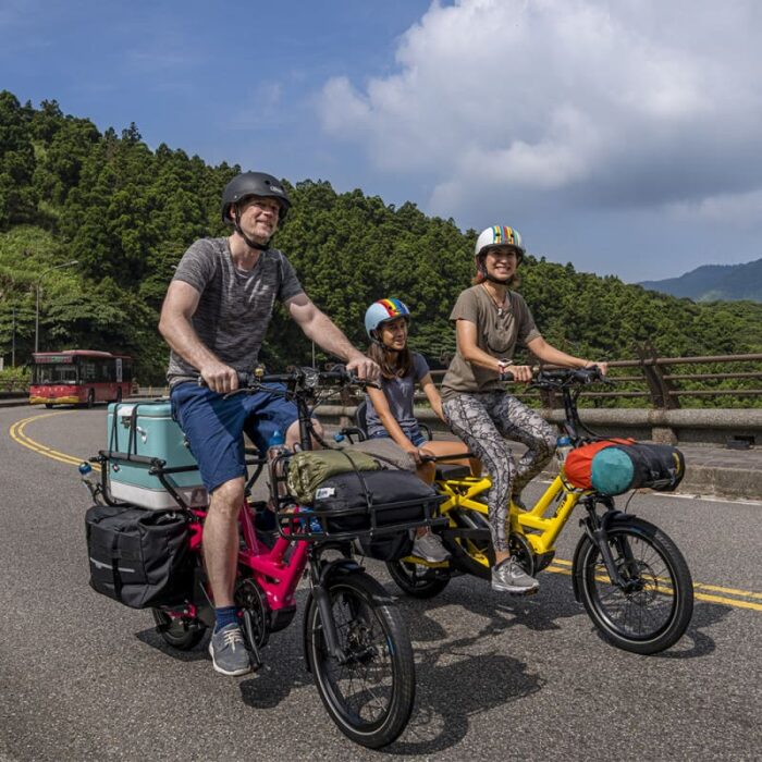 Velo-cargo-electrique-Tern-GSD-S10-LR-9.jpg