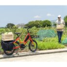 Velo-cargo-electrique-Tern-Quick-Haul-P9-7.jpg