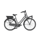 Velo-de-ville-electrique-Gazelle-HeavyDutyNL-C7-HMB.png