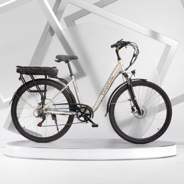 Velo-electrique-Biwbik-MALMO-1.jpg