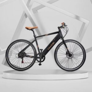 Vélo électrique Biwbik VALONA