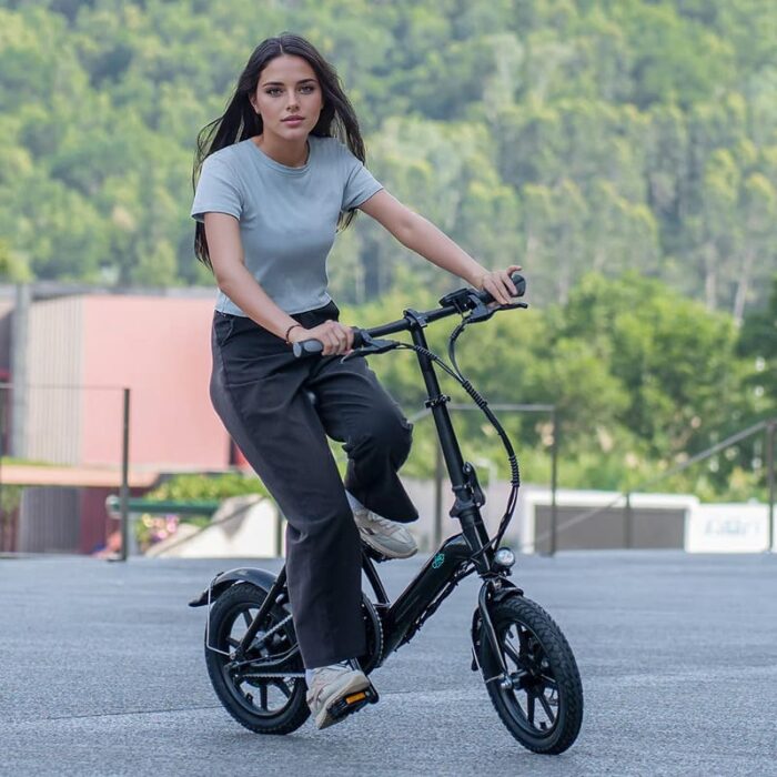 Velo-electrique-Pour-Femme-Fiido-D3-Pro-2.jpeg