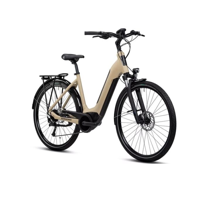 Velo-electrique-Winora-Tria-9-2.jpg