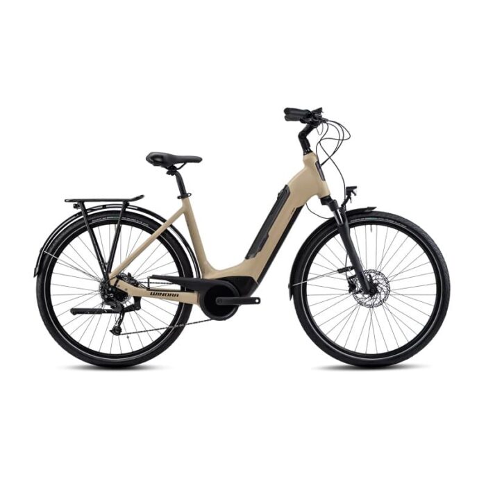 Velo-electrique-Winora-Tria-9-3.jpg