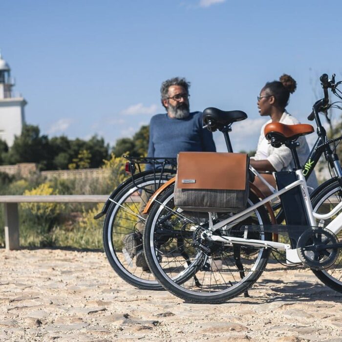 Velo-electrique-biwbik-Gante-white-10.jpg