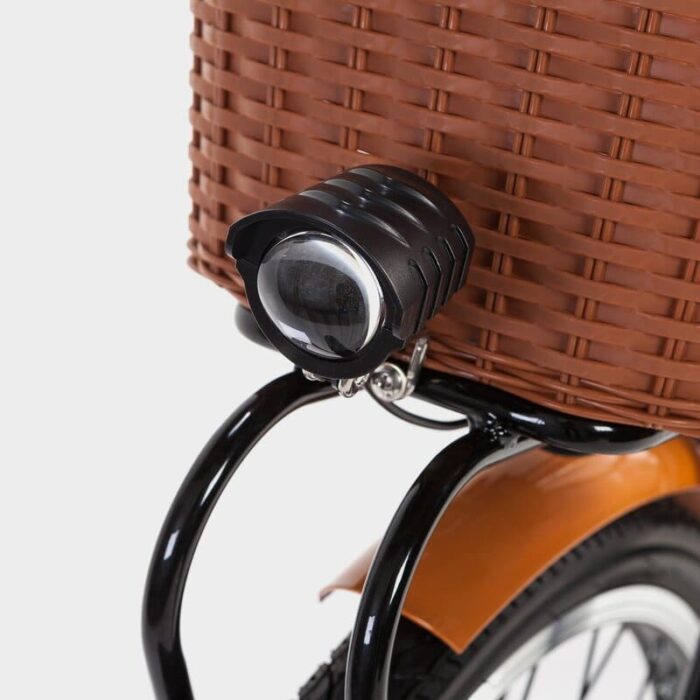 Velo-electrique-biwbik-Gante-white-9.jpg