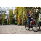 Velo-electrique-cargo-FLYER-Gotour-3-7.43-2022-6.webp
