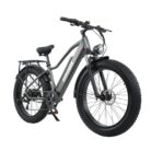 Velo-electrique-keteles-RX20.jpeg
