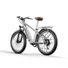 Velo-electrique-retro-Shengmilo-MX04-2.jpeg