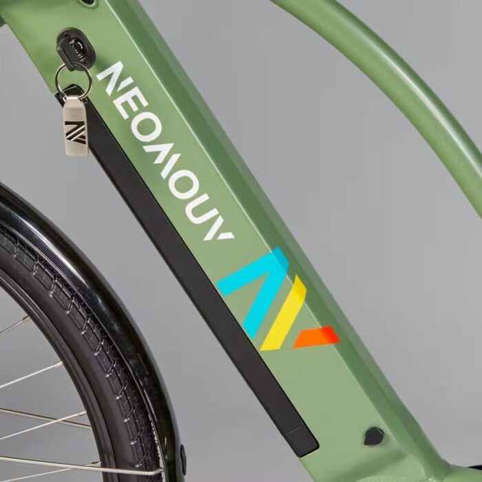 Velo-tout-chemin-electrique-NEOMOUV-RAIPON-2-3.jpg