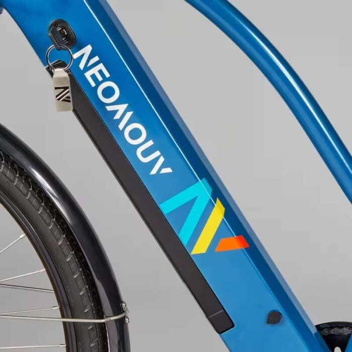 Velo-tout-chemin-electrique-NEOMOUV-RAIPON-3.jpg
