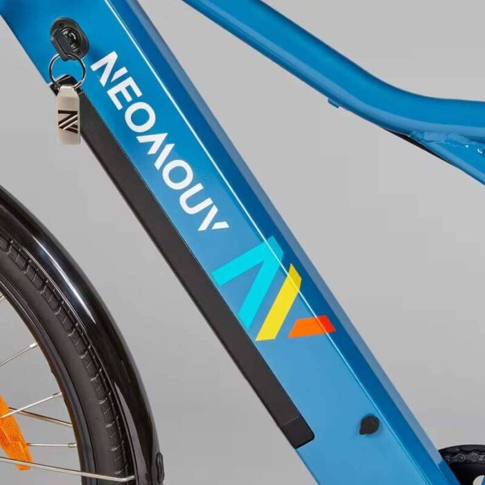 Velo-tout-chemin-electrique-NEOMOUV-RAIPON-High-Frame-1.jpg