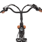 Velo-ville-electrique-Beaufort-Birgit-6.png