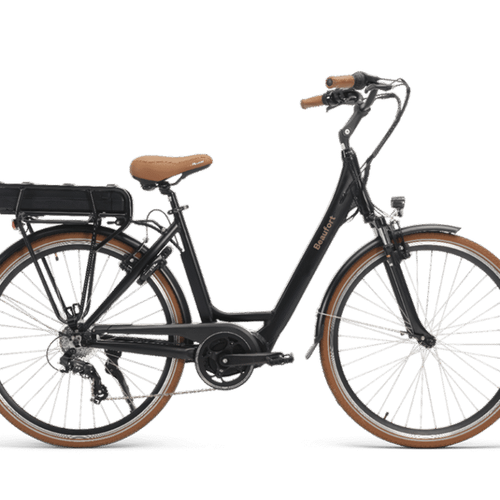 Velo-ville-electrique-Beaufort-Birgit.png
